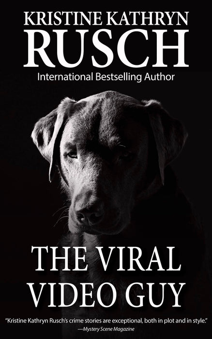 The Viral Video Guy by Kristine Kathryn Rusch
